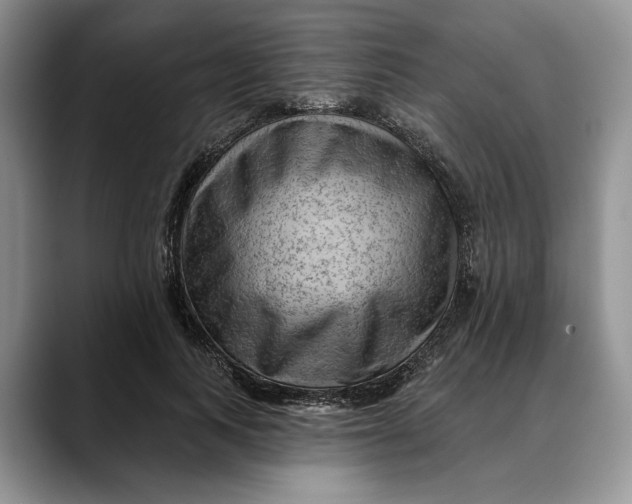 X0000088410743200706121414