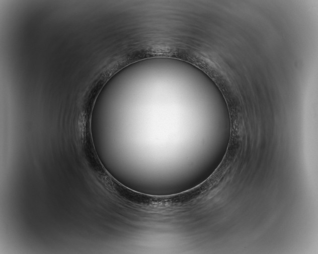 X0000088410744200706121414