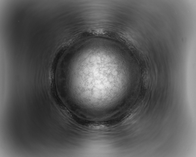 X0000088410747200706121414