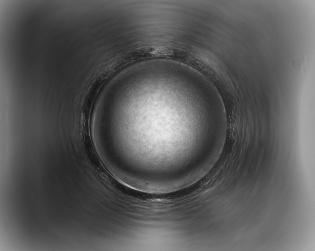 X0000088410748200706121414