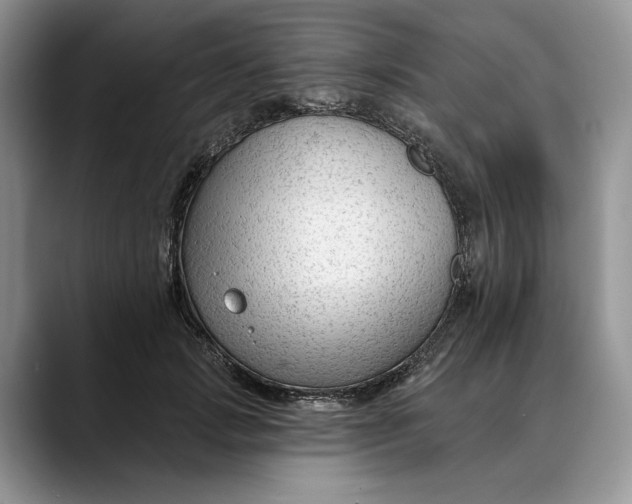 X0000088410749200706121414