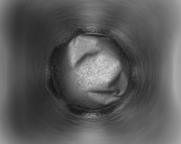 X0000088410751200706121414