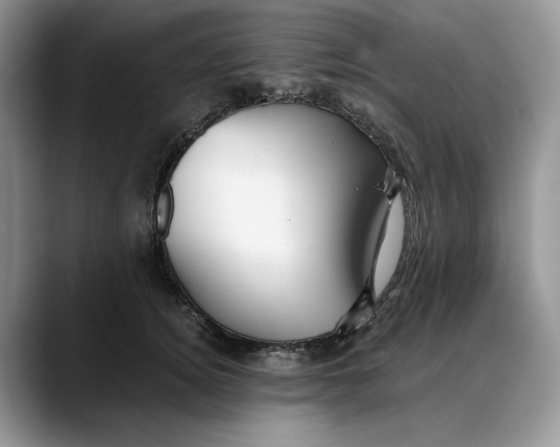 X0000088410756200706121414