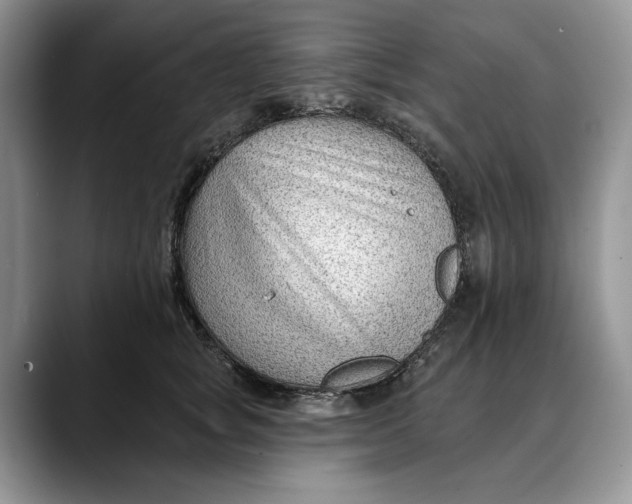 X0000088410757200706121414