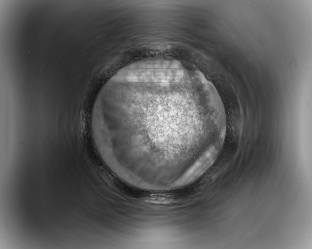 X0000088410758200706121414