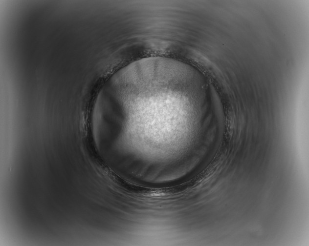 X0000088410759200706121414