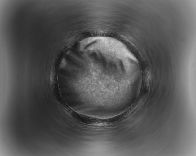 X0000088410760200706121414