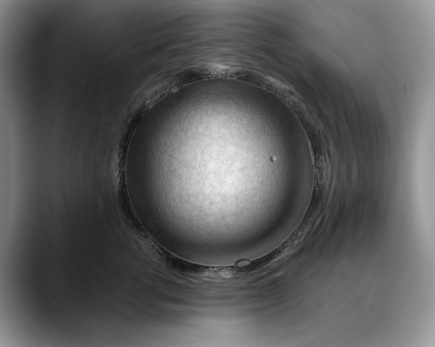 X0000088410762200706121414