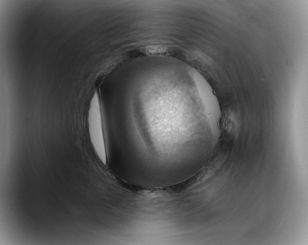 X0000088410763200706121414