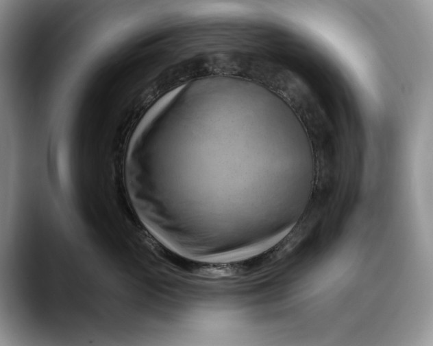 X0000088410765200706121414