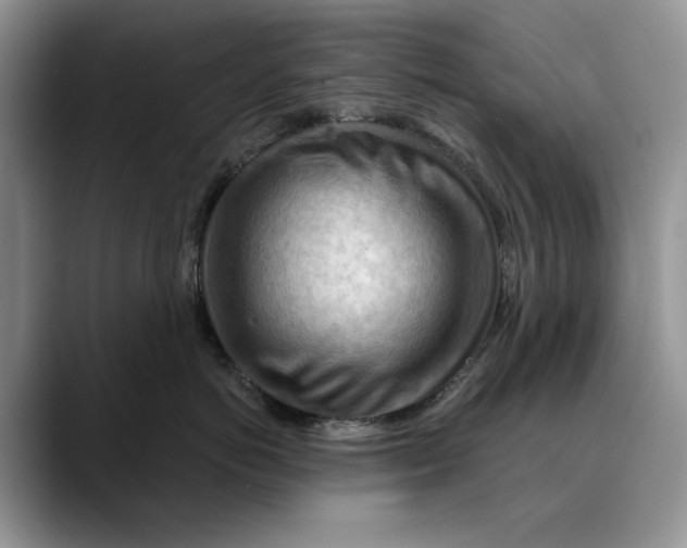 X0000088410766200706121414