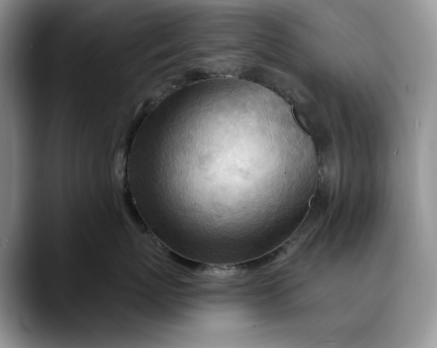 X0000088410767200706121414