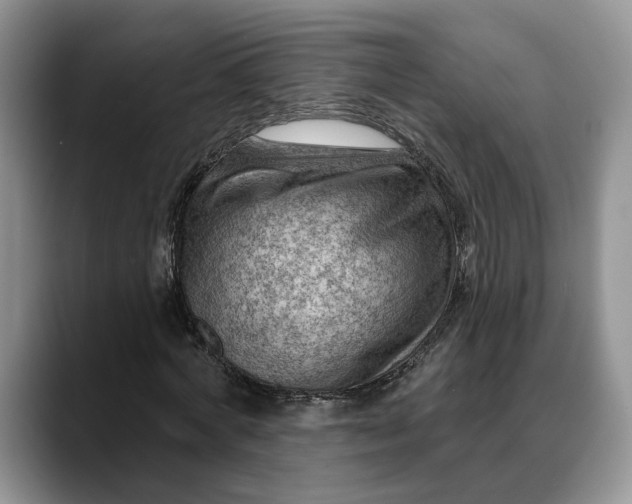 X0000088410772200706121414