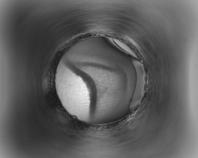 X0000088410775200706121414