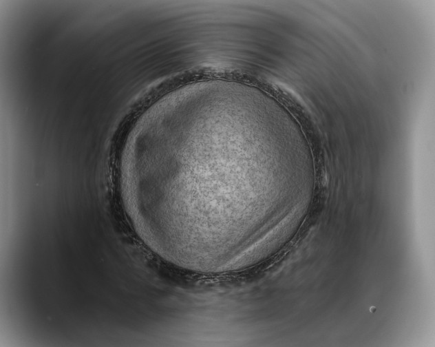 X0000088410776200706121414