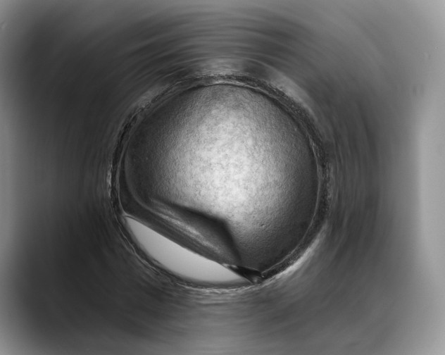 X0000088410777200706121414