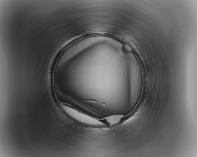 X0000088410779200706121413