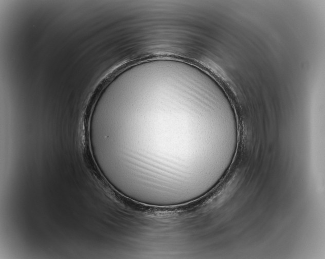 X0000088410782200706121413