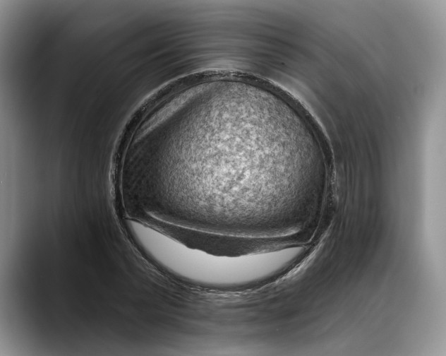 X0000088410783200706121413