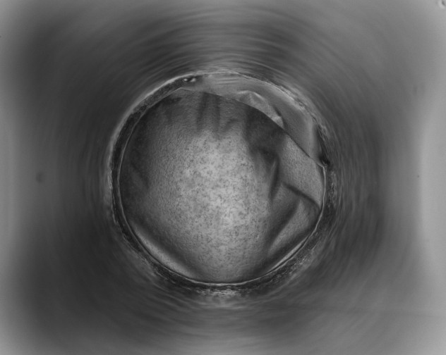 X0000088410784200706121413