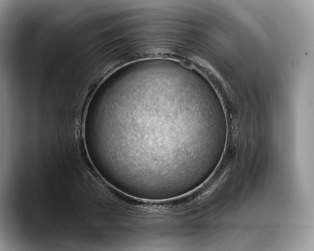 X0000088410785200706121413