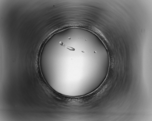 X0000088410786200706121413