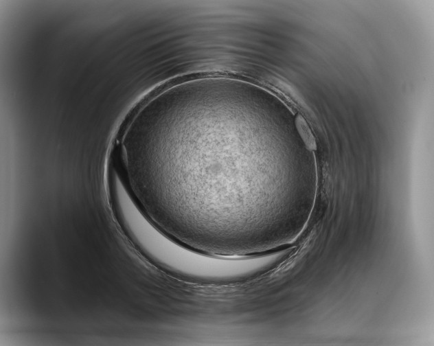 X0000088410788200706121413