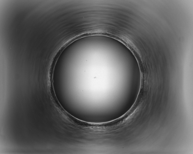 X0000088410789200706121413