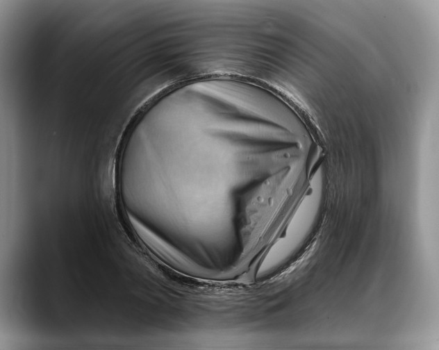 X0000088410790200706121413