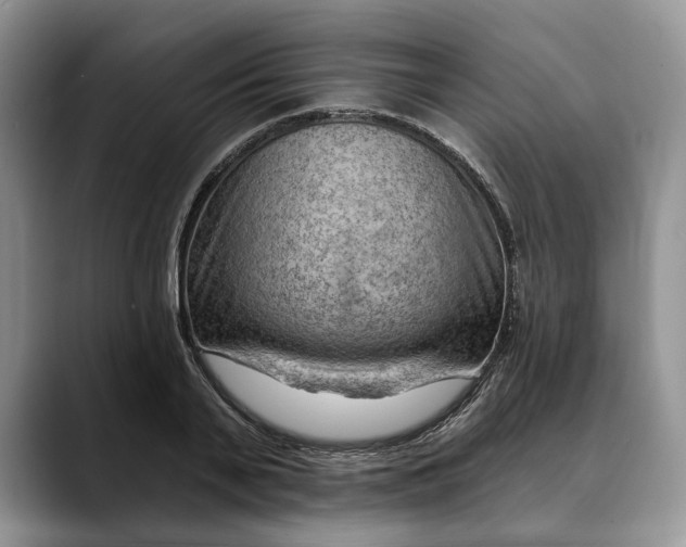 X0000088410791200706121413