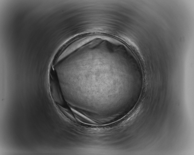 X0000088410792200706121413