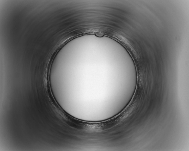 X0000088410794200706121413