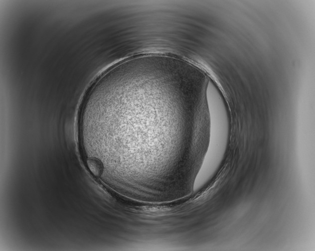 X0000088410795200706121413