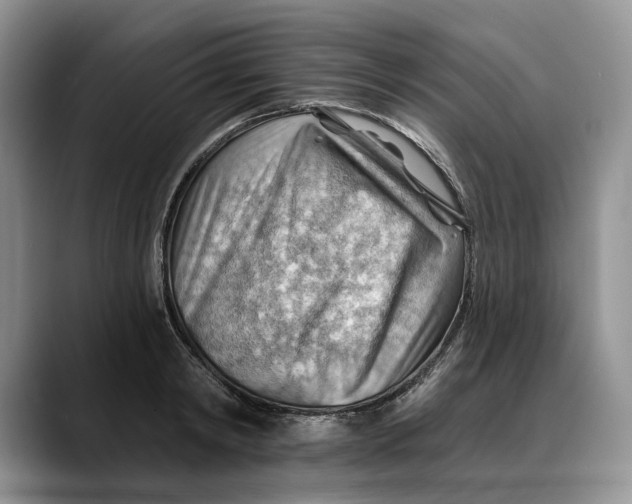 X0000088410798200706121413