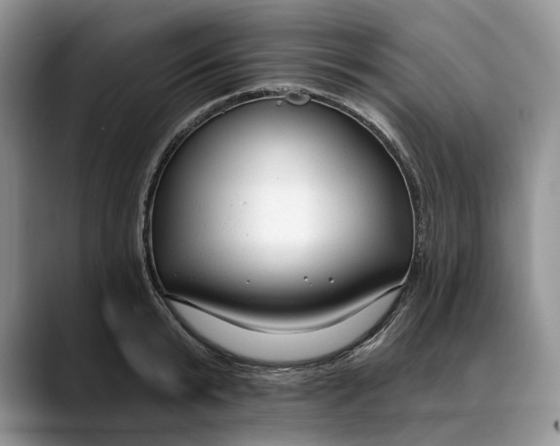 X0000088410799200706121413