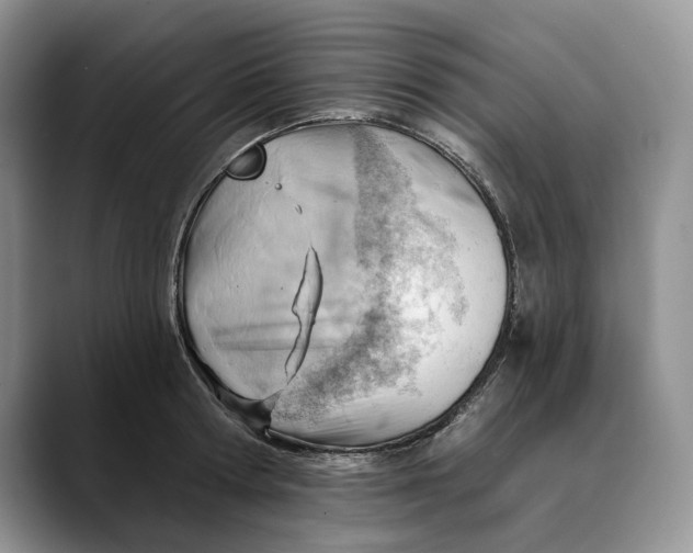 X0000088410802200706121413