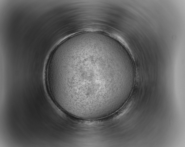 X0000088410803200706121413