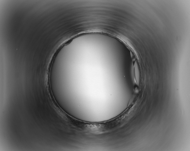 X0000088410805200706121413