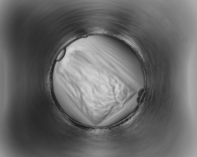 X0000088410806200706121413