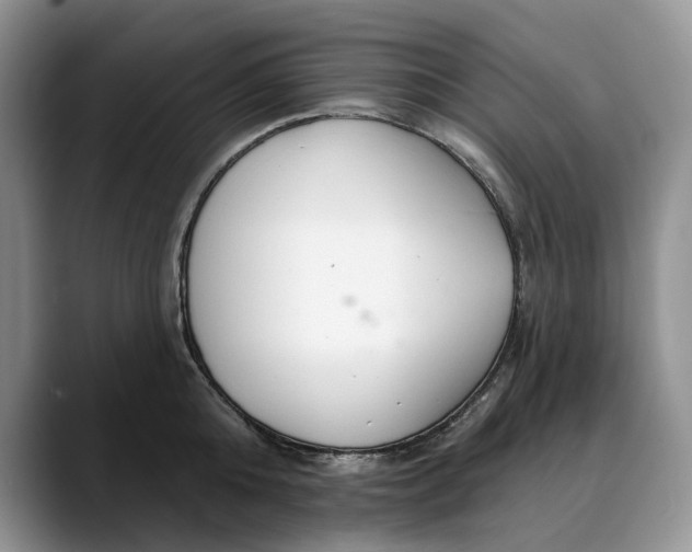 X0000088410808200706121413