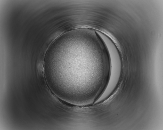 X0000088410809200706121413