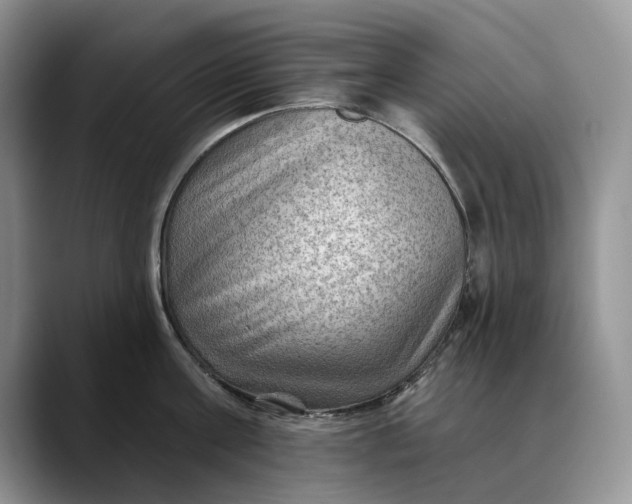 X0000088410811200706121413