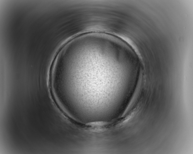 X0000088410815200706121413