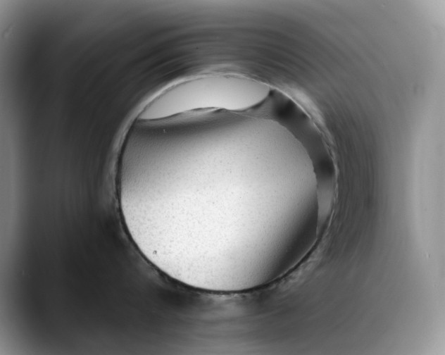 X0000088410816200706121413