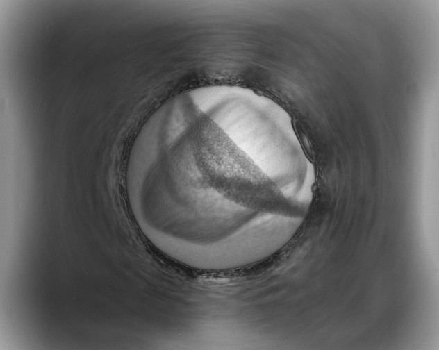 X0000088410817200706121412