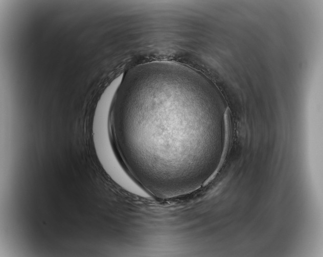 X0000088410818200706121412