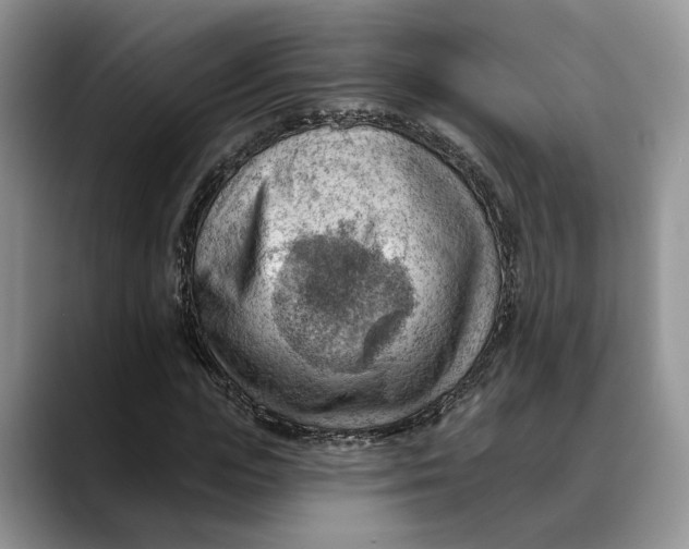 X0000088410823200706121413