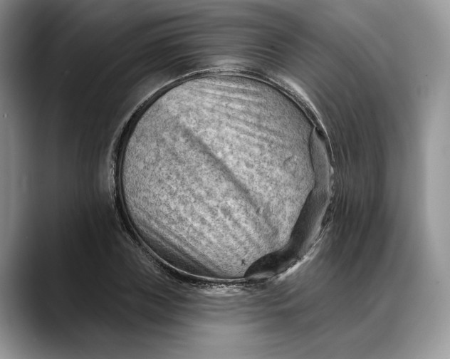 X0000088410835200706121413