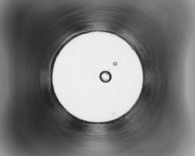 X0000088410836200706121413