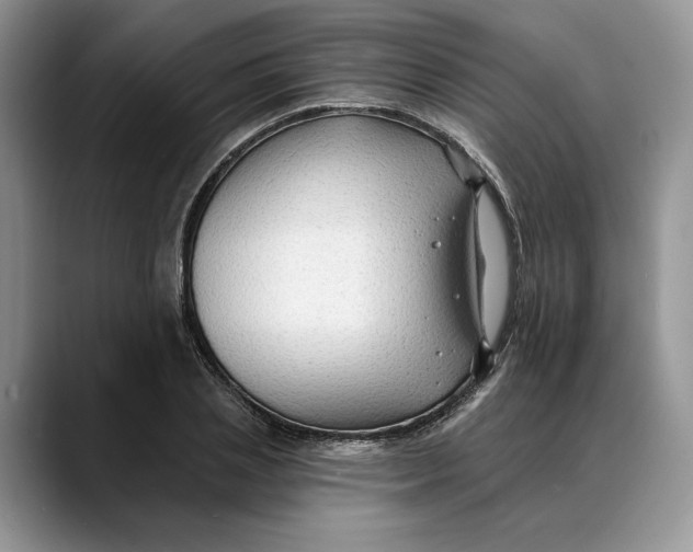 X0000088410837200706121413